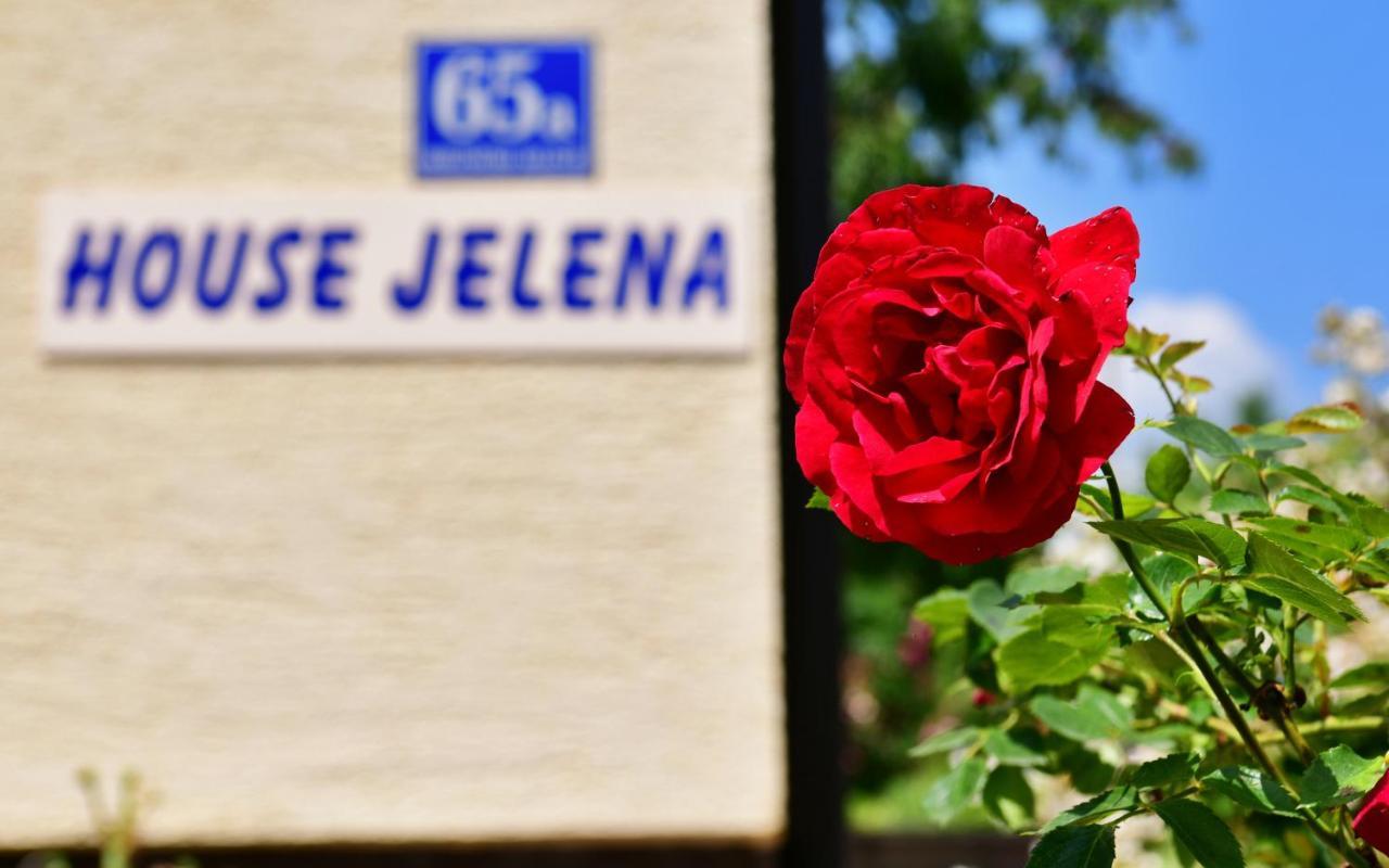 House Jelena Apartment Seliste Dreznicko Exterior photo