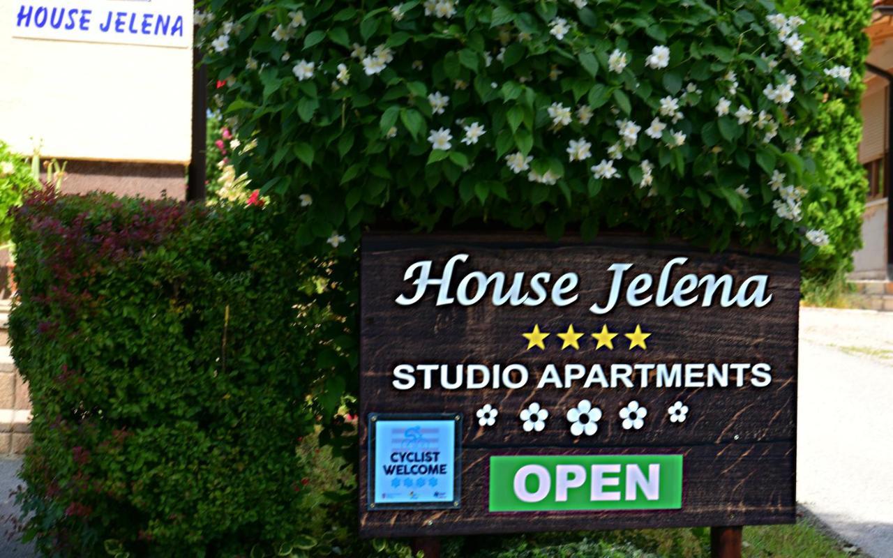 House Jelena Apartment Seliste Dreznicko Exterior photo