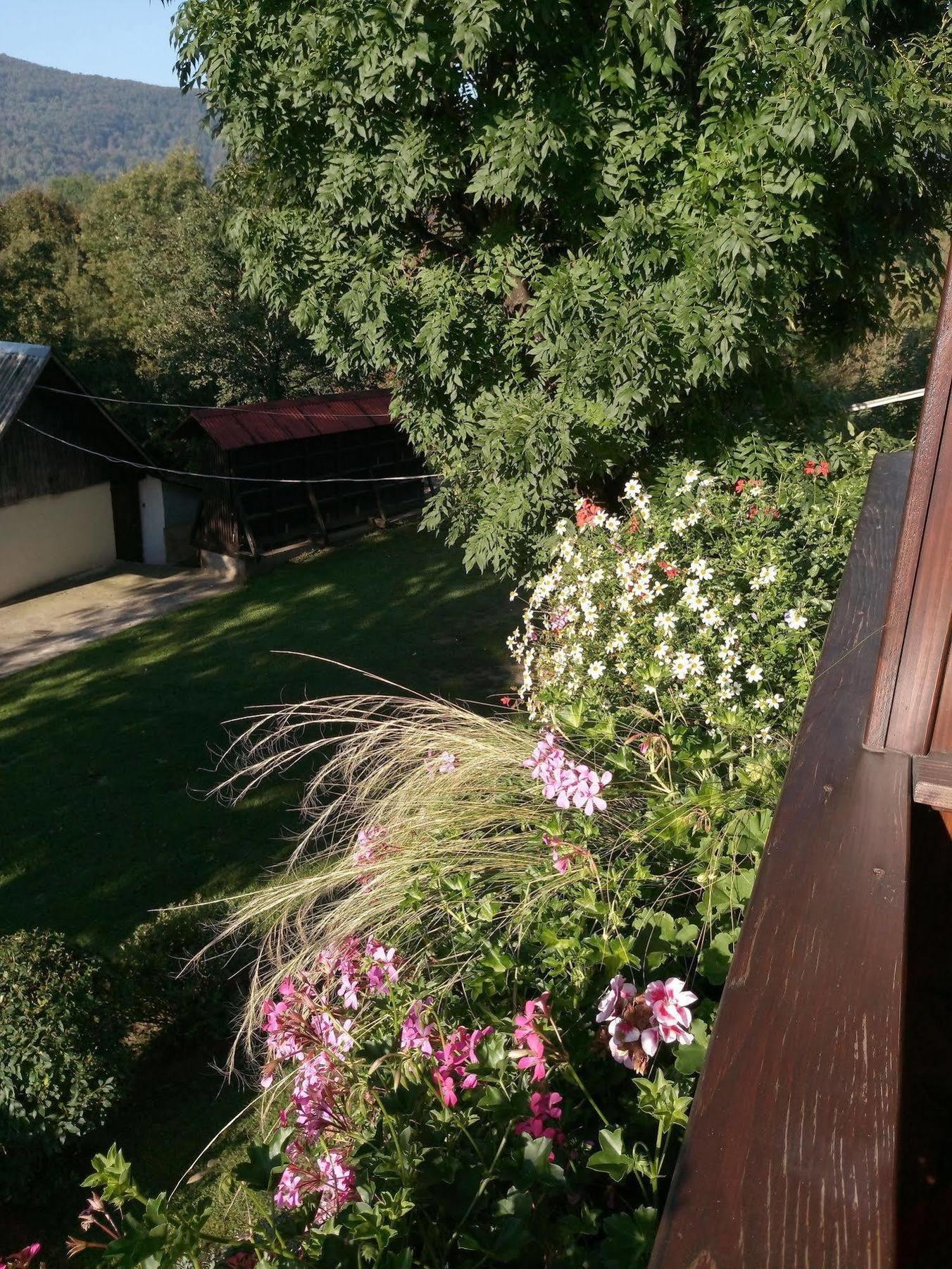 House Jelena Apartment Seliste Dreznicko Exterior photo