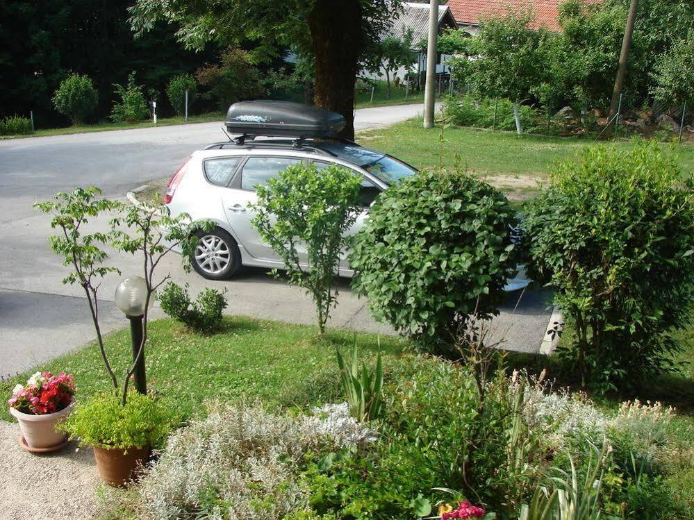 House Jelena Apartment Seliste Dreznicko Exterior photo